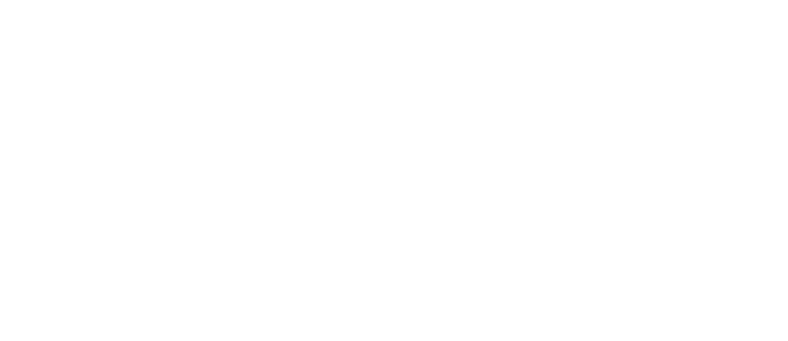 logo light